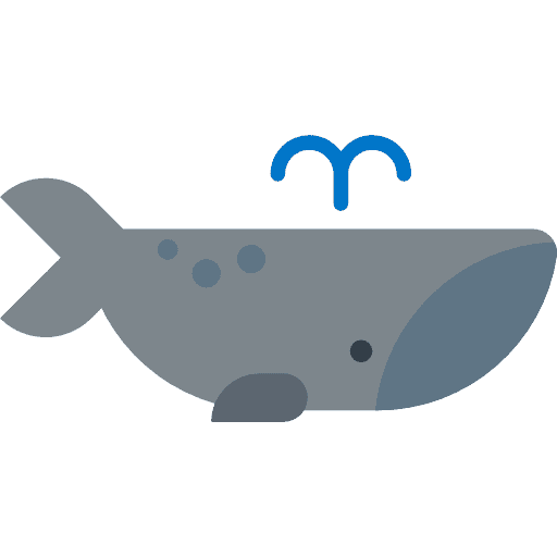 Hipponuto